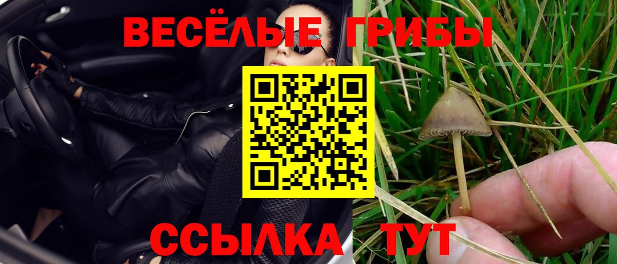 Галлюциногенные грибы прущие грибы  Вход с VPN  купить наркотики цена  Дмитров 